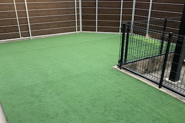 コート・グラウンド