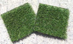 楽天市場顧客満足度1位