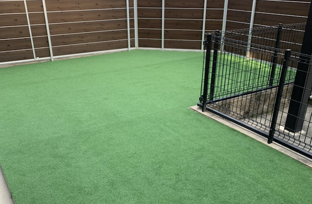 コート・グラウンド